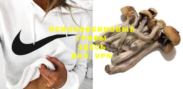 дживик Алексеевка