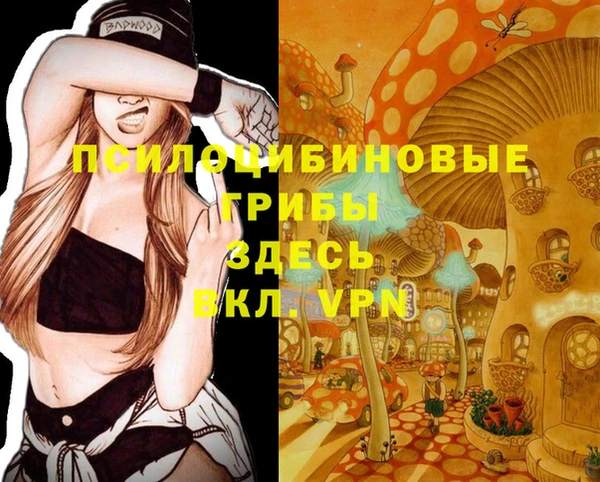 дживик Алексеевка