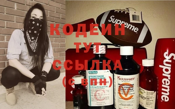 прущие грибы Покачи