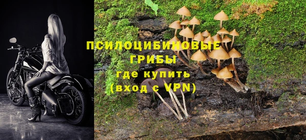 дживик Алексеевка