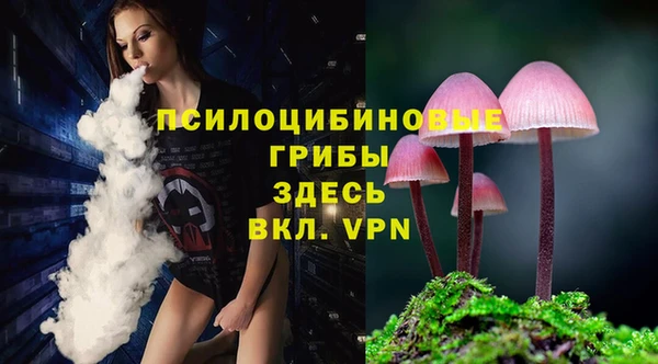 дживик Алексеевка