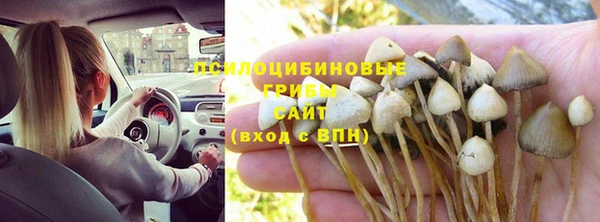 дживик Алексеевка