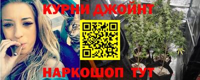 гидра Рязань