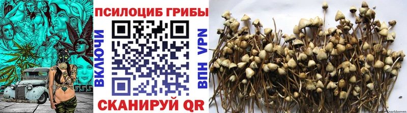 Галлюциногенные грибы мухоморы  Тосно 