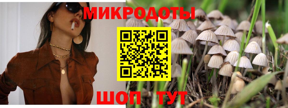 Галлюциногенные грибы GOLDEN TEACHER  Галлюциногенные грибы MAGIC MUSHROOMS  купить   Вход с VPN  Тосно 